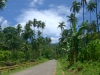 CAMIGUIN_2015_04_07_12_14_DSC_6440.jpg