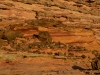 Kalbarri NP