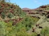Karijini NP
