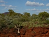 Karijini NP